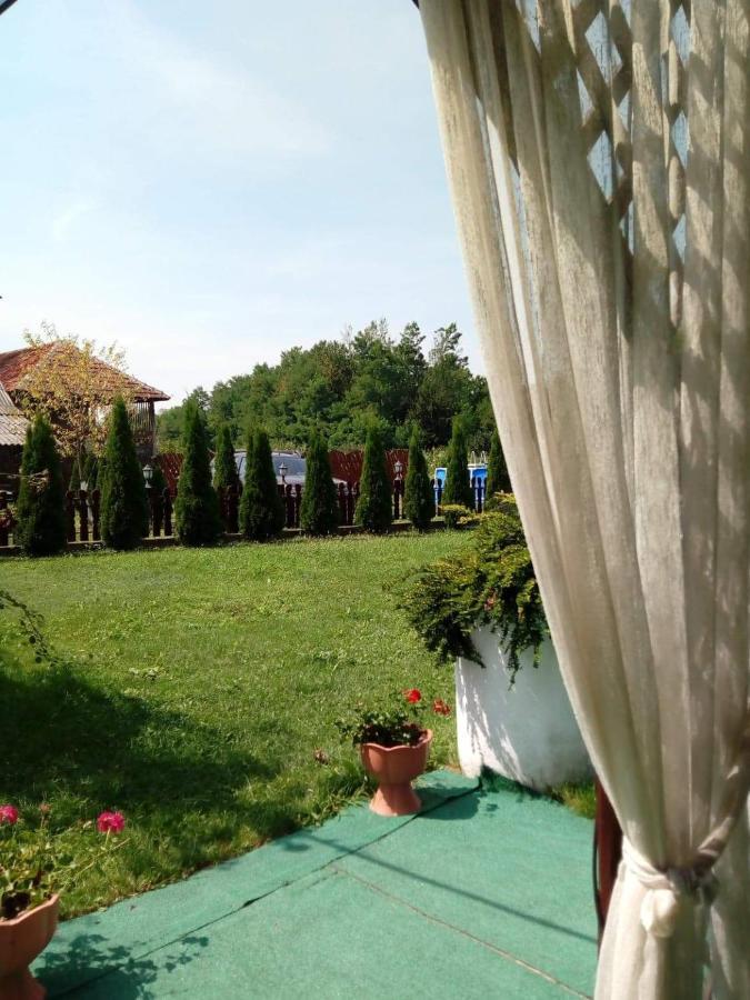Pensiunea Daiadela Dusesti Exterior foto