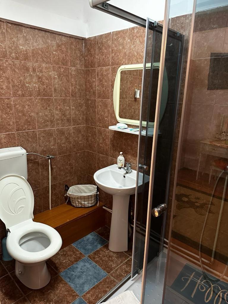 Pensiunea Daiadela Dusesti Exterior foto